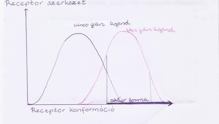 nevtelen_4.jpg